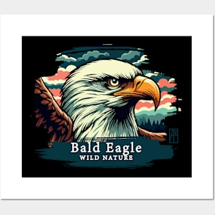 Bald Eagle - WILD NATURE - BALD EAGLE -1 Posters and Art